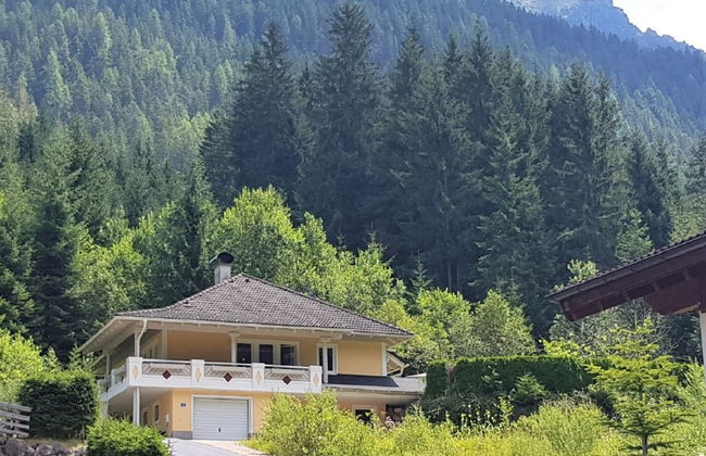 Steindlwald - Foto 1