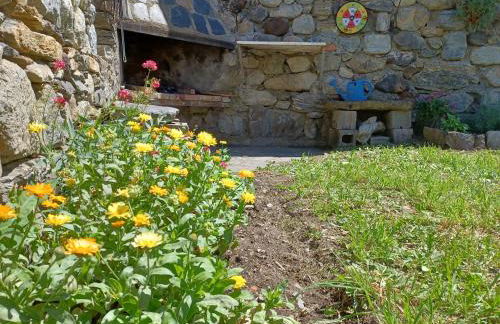 Senet Rural - Foto 10