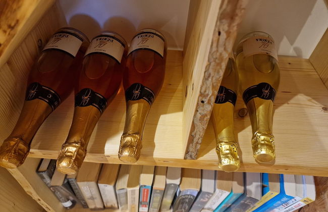 Vineyard cottage Vinska grajska kašča - Foto 26