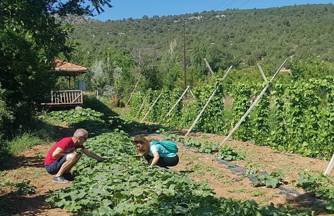 Tefenni Villas - Foto 44