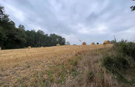 Charming Cottage in a typical French Village - Foto 62