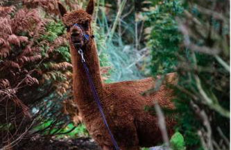 Spout House Studio - Photo 38