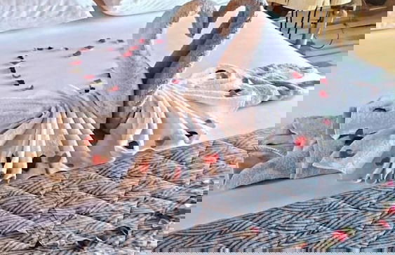 SİFLA BUNGALOV & RESTURANT - Foto 13