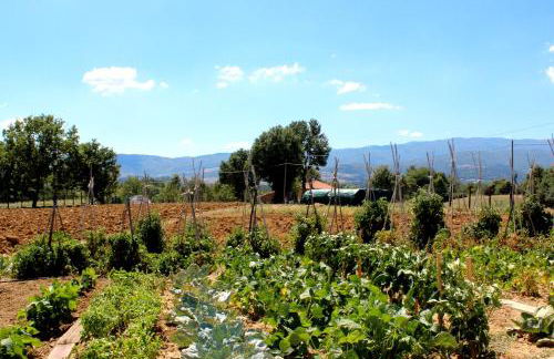 L'Antico Cipresso - Foto 70