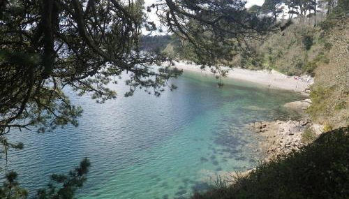 'Shorebird' central apartment, sea views & parking - Foto 3