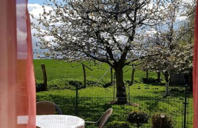 Ferienhof Albert - Foto 9