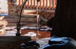 Ośrodek Wczasów Zdrowotnych Rudawka Rymanowska - Foto 43