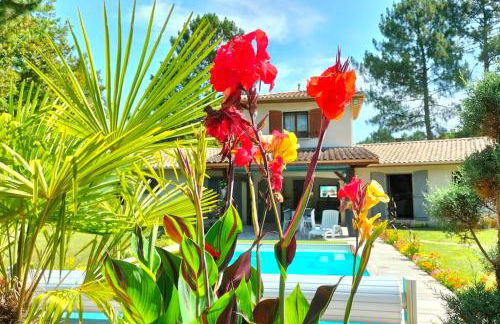 Villa Entre Bordeaux et Arcachon - Foto 20