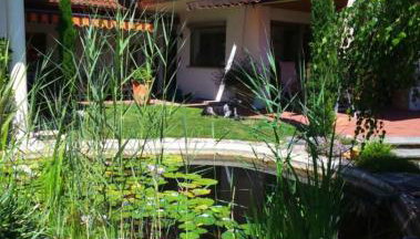 Haus Säntisblick - Foto 3