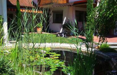 Haus Säntisblick - Foto 3