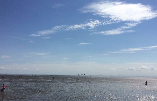 Ferienhof Schild - Foto 71