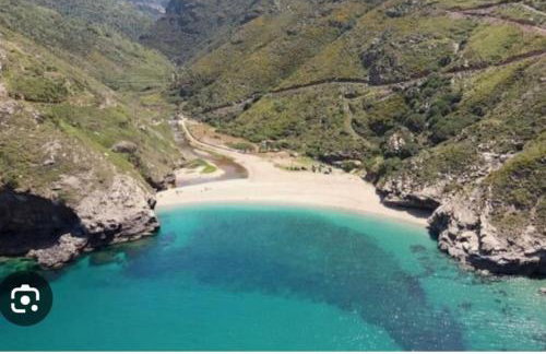 Althea Dream Summer House - Photo 64