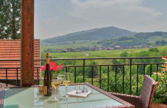 Gîte LES CEPAGES - Foto 22