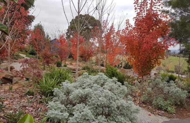 Outlook Hill Vineyard Cottages - Foto 34