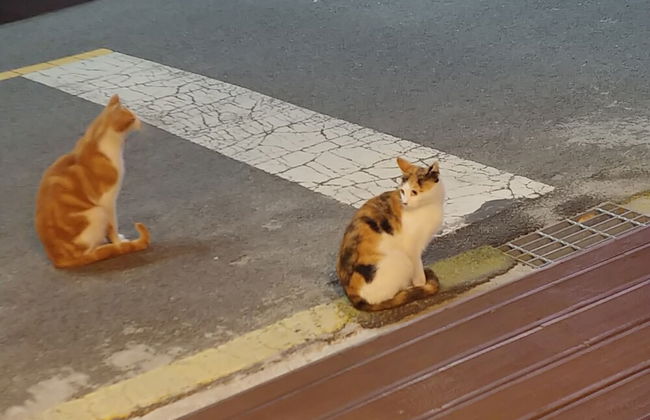 Boryeong Laon Pension - Foto 57