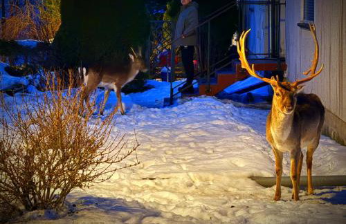 Mazurski Apartament - Foto 31