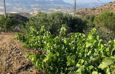 Casa Loire - Foto 25