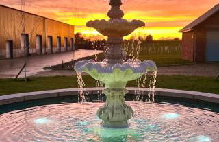 The Lodge - Photo 22