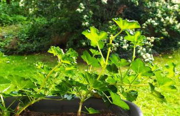 Charmant F1 Paris Expo Porte de Versailles - Foto 23