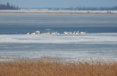 Haus am Breezter Bodden 1OG - Photo 21