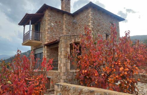 Konstantina 4 - Foto 12