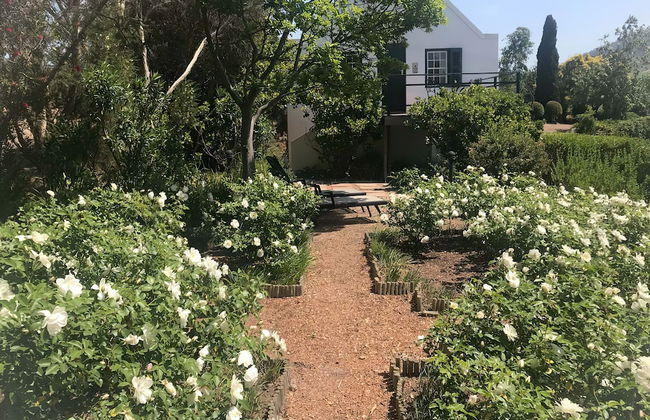 Sanddrif Guest Farm - Foto 39