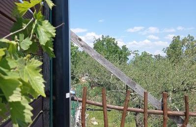 Casa Delle Olive - Foto 13