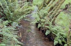 O Forno de Catuxa Cottage & Roman Wall - Foto 51