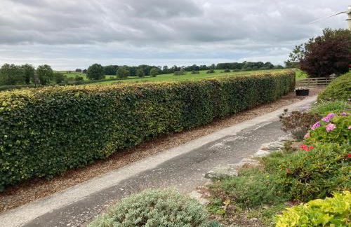 Old Station House - Kilfillan Cottage - Foto 30