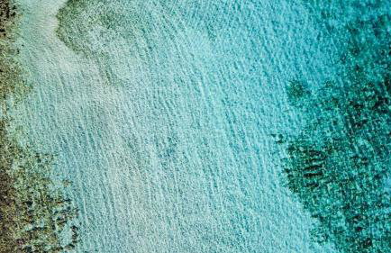 Casa natura - Olib, gem of islands - Photo 49