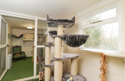 Orchard House Cottage - Foto 27