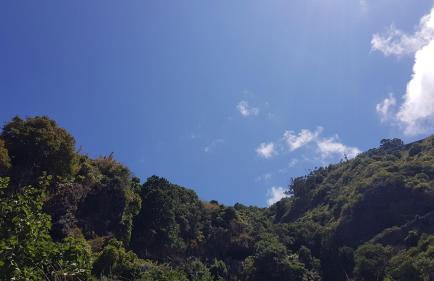 Ponte House - Foto 18