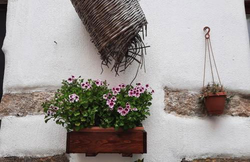 La Corte di Grazia_IUN P2039/40 - Foto 39