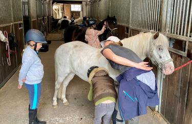 Heidegut Eschede Reitsportanlage und Feriendorf - Foto 48