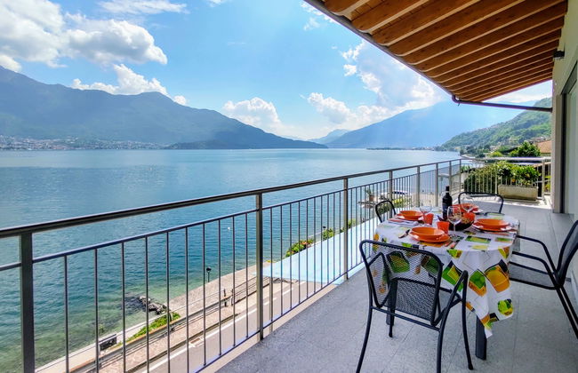 Ciclamino (GLA127) - Foto 1