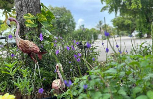 Flora's Garden Apartment/Studio - Foto 52