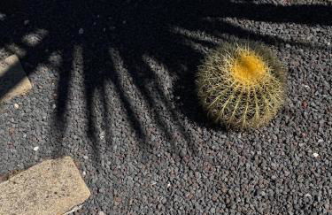 Casa Armonia - Foto 9