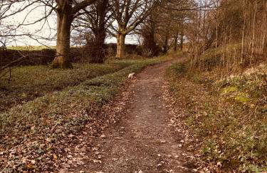 East Cote Cottage - Foto 17