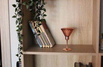 Il NIDO sul TICINO - Foto 31