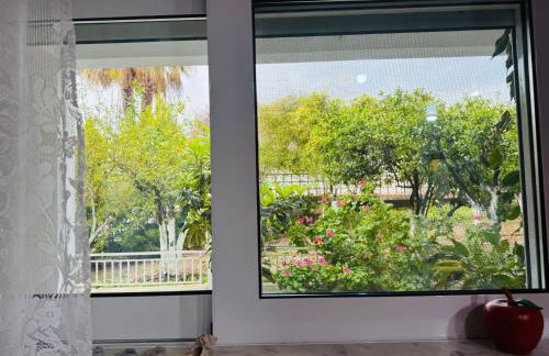 Lemon tree's house - Foto 24