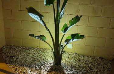 Nini's House - Foto 45