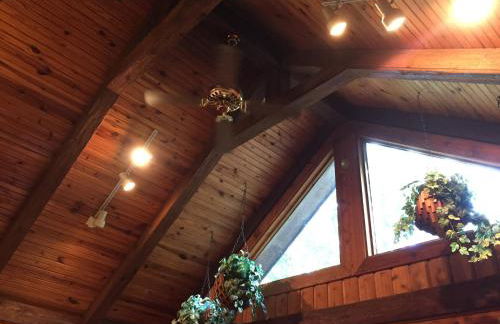 Cherokee mountain log cabin resort - Foto 136