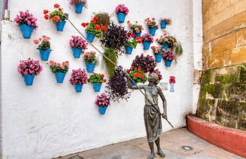 Alojamiento entero, centro de Córdoba con cochera - Foto 6
