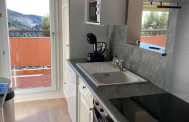 Tres beau 2 p vue mer terrasse - Foto 5