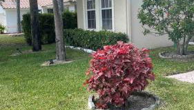 Wellington close to WEF, Polo retreat - Foto 3