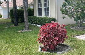 Wellington close to WEF, Polo retreat - Foto 3