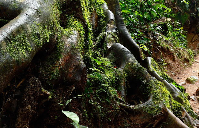 Trekking sul Sentiero di Indiana Jones - Foto 1