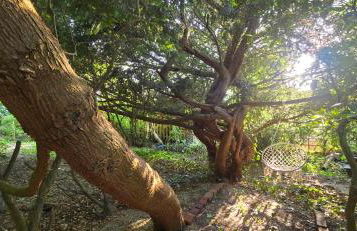 Oase am Deich - Photo 56