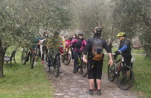 agriturismo il poderetto - Foto 66