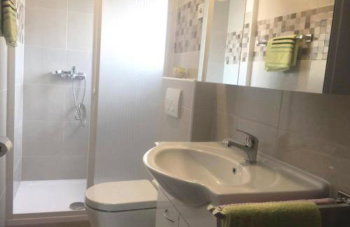 Apartman Milutin - Foto 17